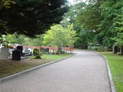 Towards walled area