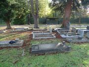 Anthony - grave