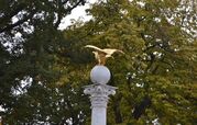 Judith - eagle memorial