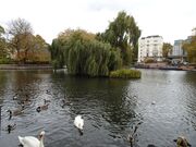 Little Venice