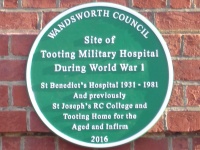 Green plaque
